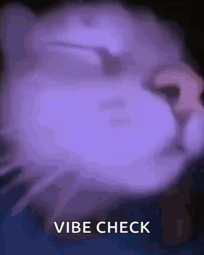Cat With Vibe Check Text