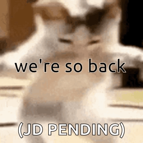 Cat With Were So Back Text