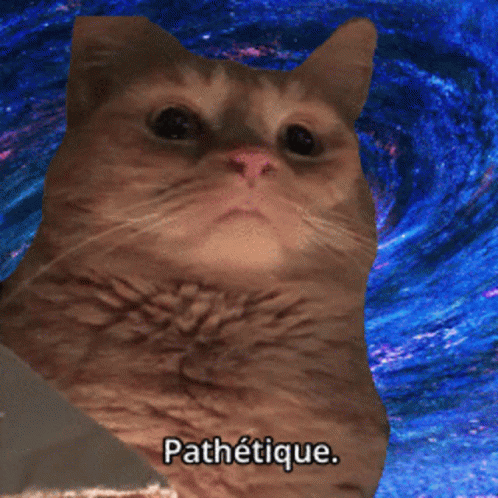 Cat With Word Pathetique