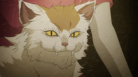 Cat With Yellow Eyes And Long Teeth GIF