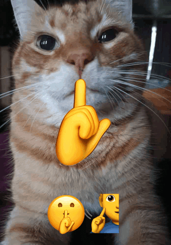 Cat With Yellow Finger Pointing To Mouth GIF