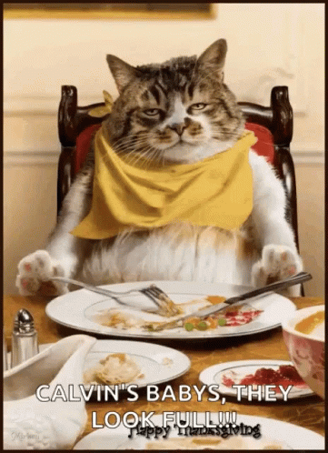 Cat With Yellow Scarf at Table With Food