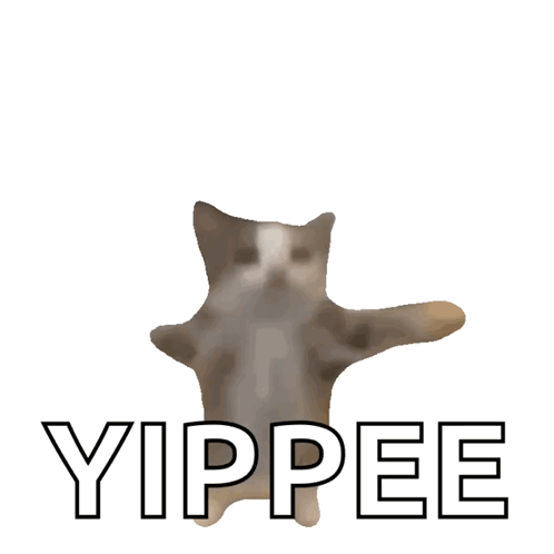 Cat With Yippee Text