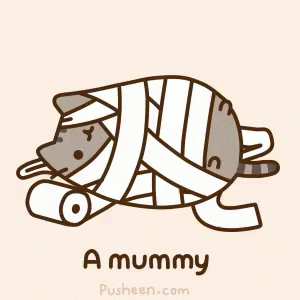 Cat Wrapped in Bandages Saying A Mummy