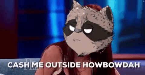 Catch Me Outside Cat Head Meme GIF