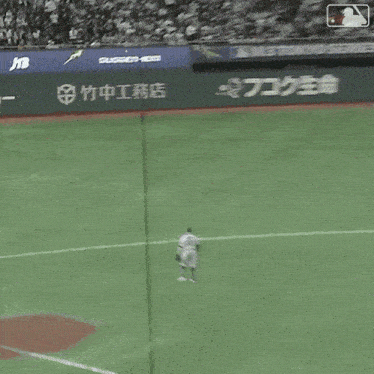 Catching The Ball Major League Baseball Gif GIF