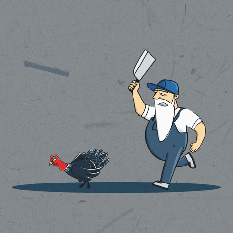 Catching Turkey Animated Thanksgiving GIF