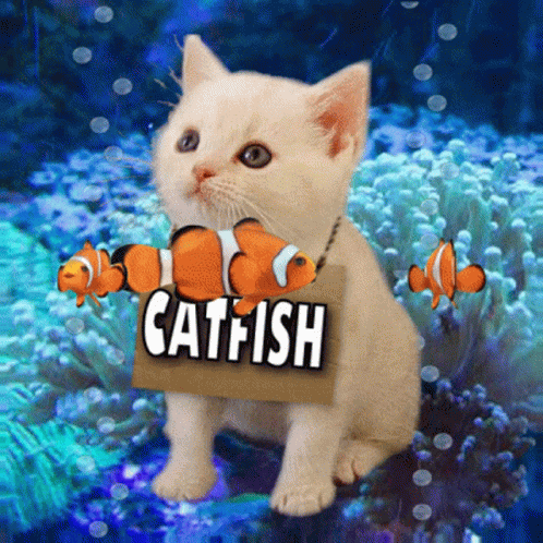 Catfish Khao Manee GIF