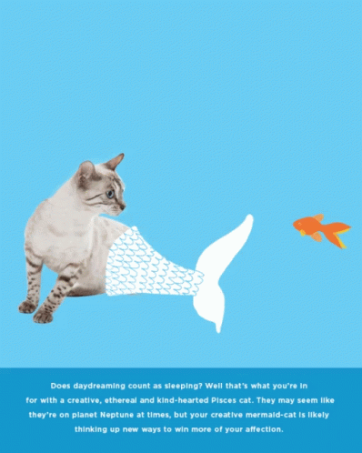 Catfish Pisces Zodiac Sign GIF