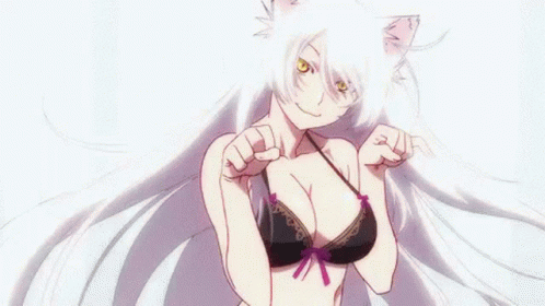 Catgirl Nekomonogatari Scratch Anime GIF