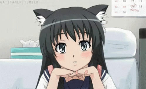 Catgirl Cute Neko Meow Anime GIF