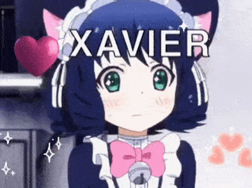 Catgirl Call Out Xavier Anime GIF