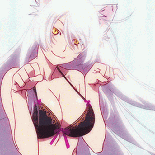 Catgirl Nekomonogatari Seductive Anime GIF