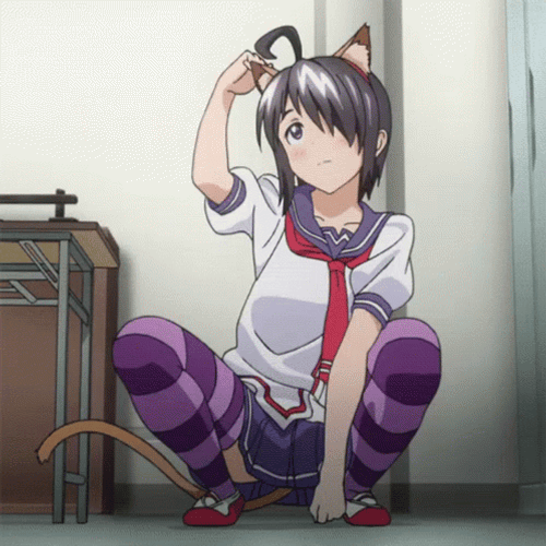 Catgirl Kimi Sato Anime GIF GIFDB