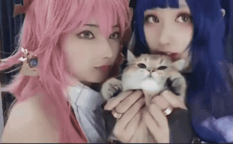 Catgirl Kissing Cat GIF