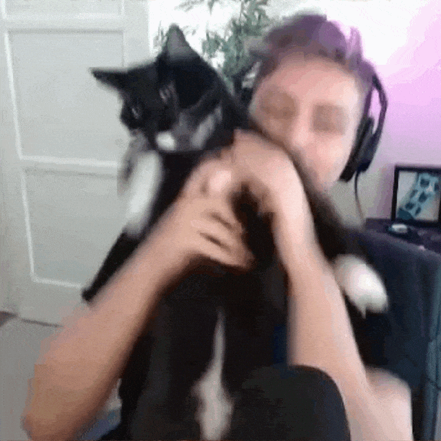Catjam Black Cat Dancing With Human GIF
