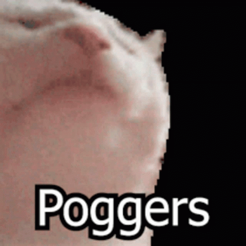 Catjam Gif File 1579kb GIF