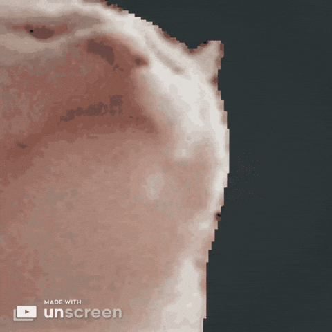Catjam Rocking Cat Retrowave Background GIF
