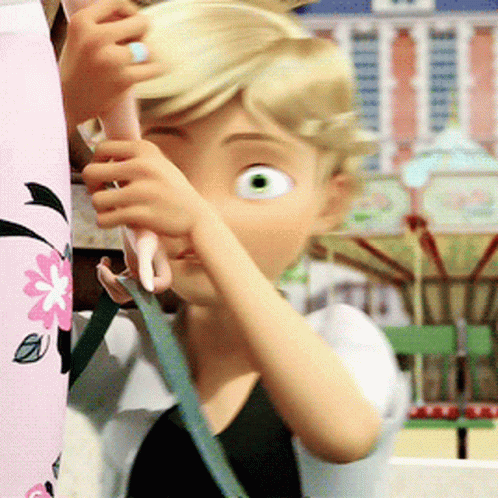 Catnoir Ladybug Miraculous GIF