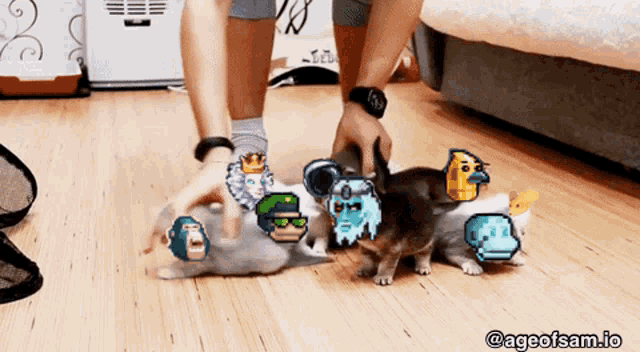 Cats Aos Gif GIF