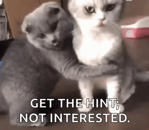 Cats Hugging Get the Hint Not Interested