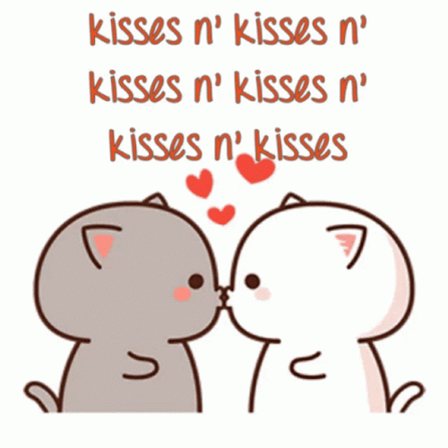 Cats Kisses N' Kisses GIF