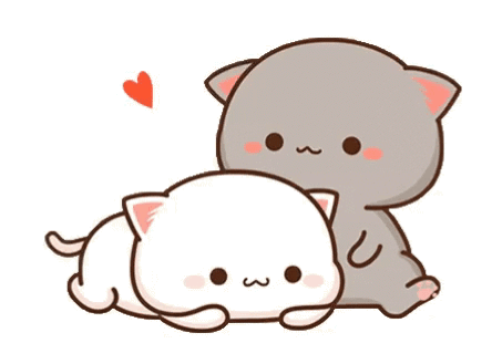 Cats Laying Next to Each Other