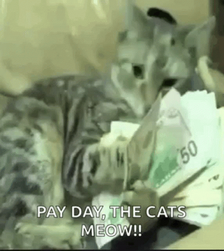 Cats Make It Rain Money GIF
