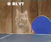 Cats Playing Game Of Strategy Table Tennis GIF