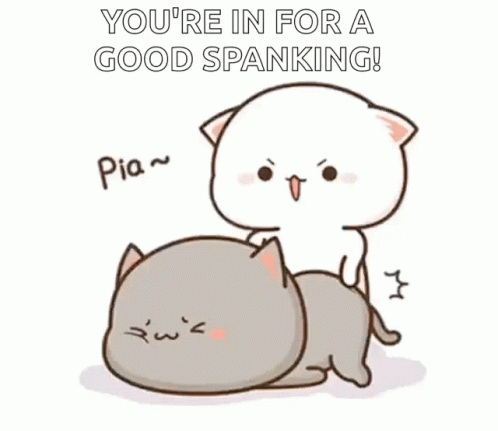Cats Playing One Spanking Other GIF