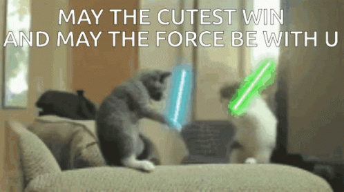 Cats Playing With Lightsabers May The Cutest Win GIF
