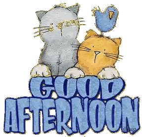 Cats Saying Good Afternoon
