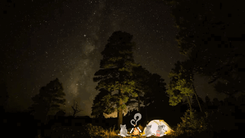 Cats Sitting Around Campfire at Night