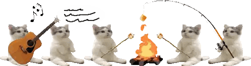 Cats Sitting Around Campfire with Guitar