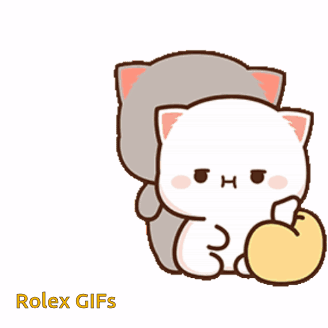 Cats Sitting Next To Each Other With Apple GIF
