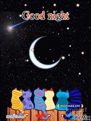 Cats Sitting on Fence Watching Shooting Star