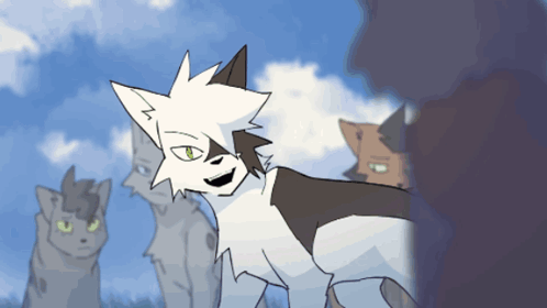 Cats Standing in Field With White and Black Cat