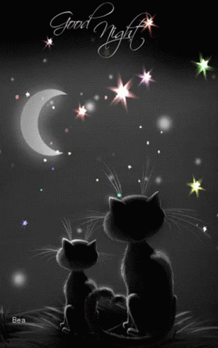 Cats Staring The Moon Linda Noche GIF