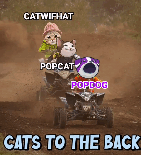 Cats To The Back Poster With Cats On ATVs GIF