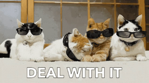 Cats Wearing Sunglasses Deal With It