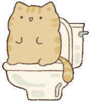 Catsneedtogotoo Pooping Cat Sticker GIF