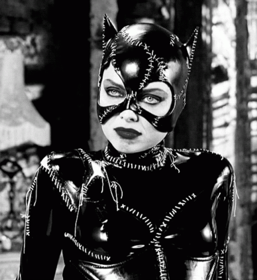 Catwoman 457 X 498 Gif GIF