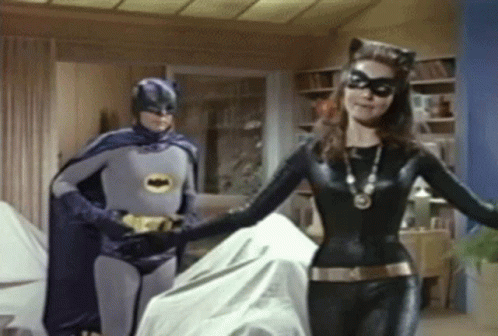 Catwoman 498 X 336 Gif GIF