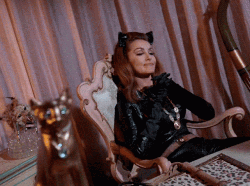 Catwoman 498 X 371 Gif GIF