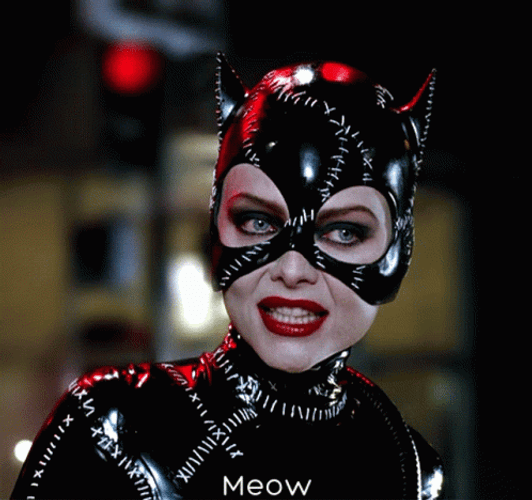 Catwoman 498 X 468 Gif GIF