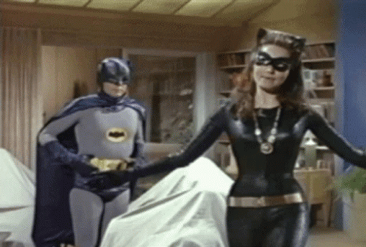Catwoman And Batman GIF