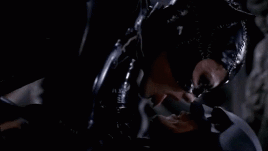 Catwoman Being Romantic GIF