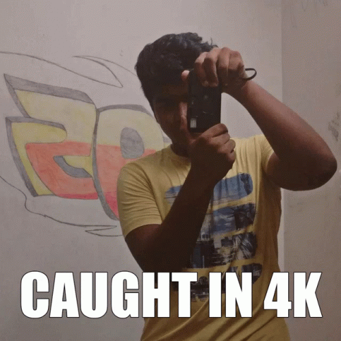 Caught In 4k Snapping Camera Flashes GIF