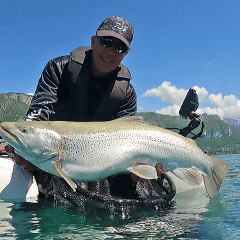 Caught Truite Fish Meme GIF