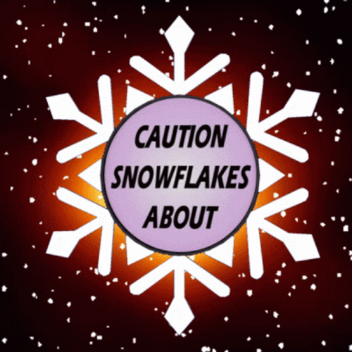 Caution Snowflake About GIF